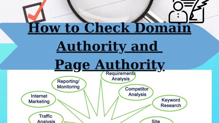 How to Check Domain Authority and Page Authority