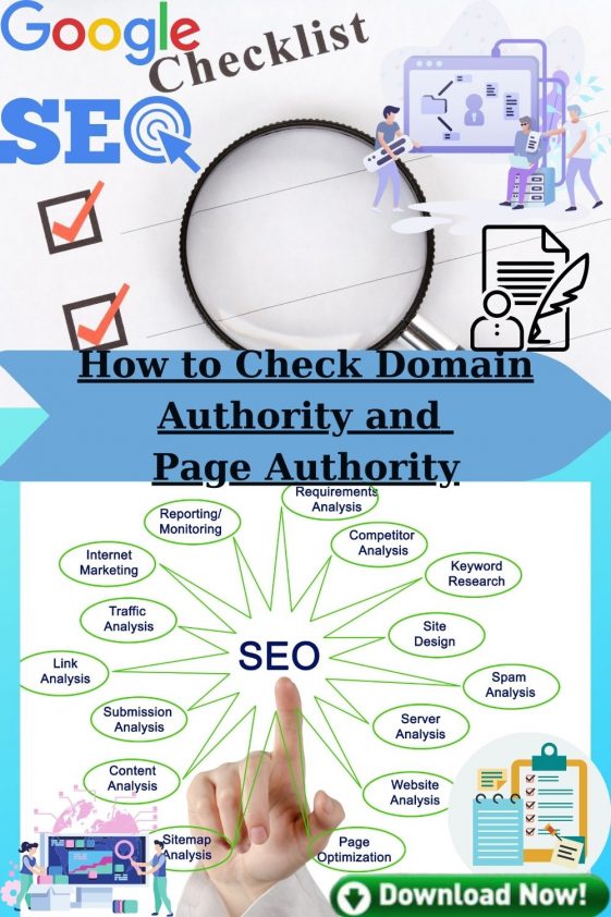 how to check my website domain authority