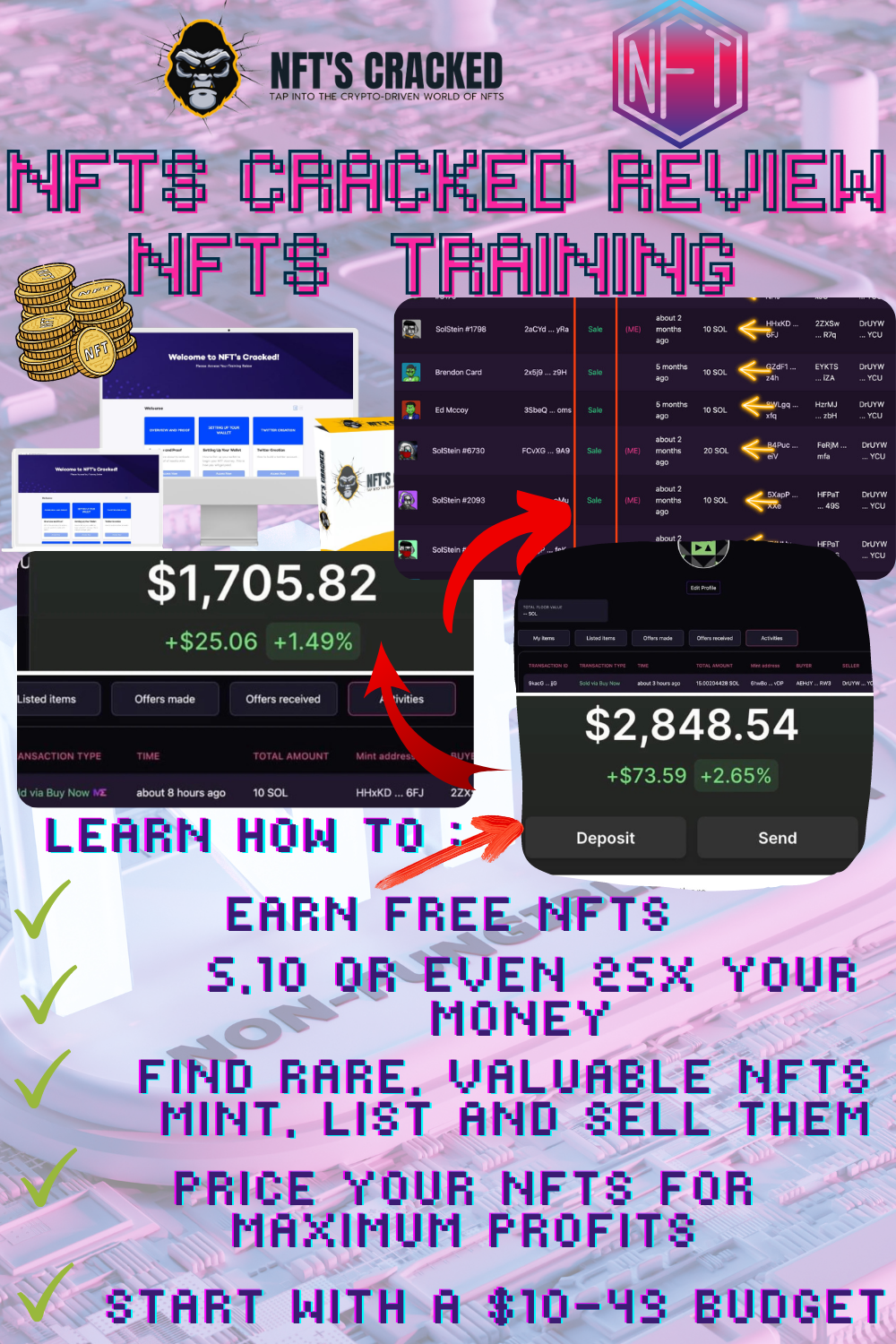 nfts cracked review-nfts training (1)